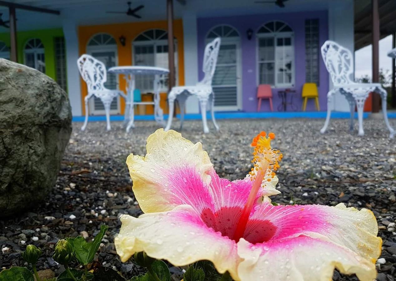 Wei Feng Jia Yuan B&B T'ai-tung Buitenkant foto